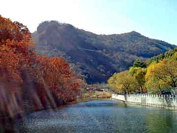 澳门天天免费精准大全，王妃太狂野